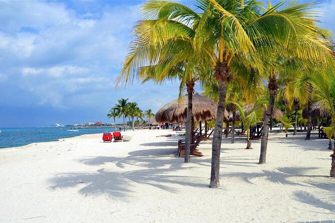 Official Chankanaab Park Day pass and Snorkel with Lunch included - Should you book this Chankanaab Park day pass and snorkel with lunch?