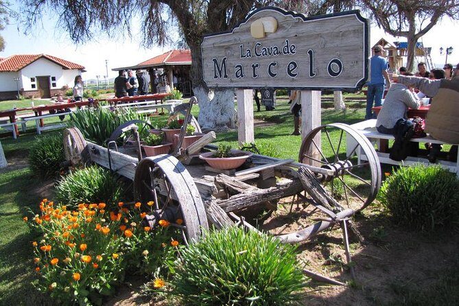 Ojos Negros Valley Wine and Cheese Route Tour in Baja California - Key Highlights You’ll Care About