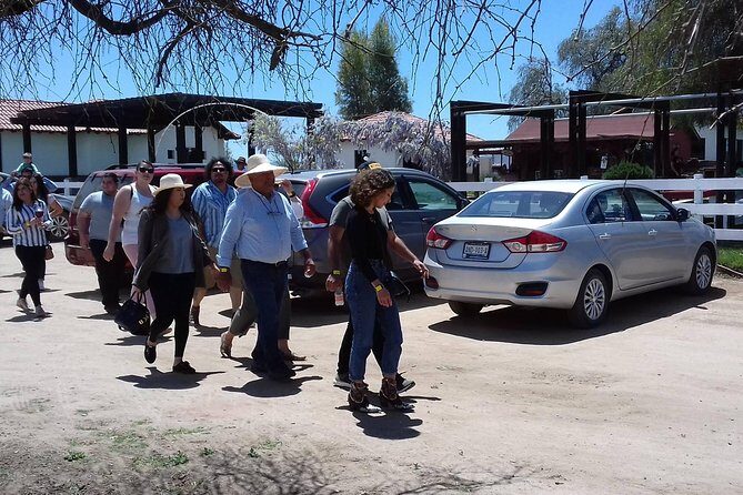 Ojos Negros Valley Wine and Cheese Route Tour in Baja California - Lunch at La Casa Marcelo: delicious, local, and not included