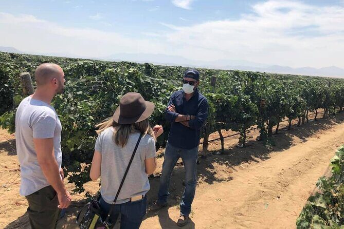 Ojos Negros Valley Wine and Cheese Route Tour in Baja California - What you actually get for $149.36 in 6 hours