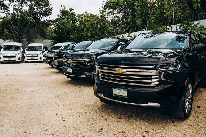 One Way Private Transfer Cancun Int Airport-Cancun Hotel Zone - Key Things I’d Watch Before You Book