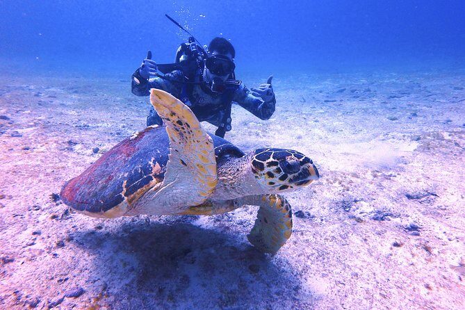 Open Water Certification Course-PADI - Day 3 in the Marine National Park: Final Skills and Certification Day