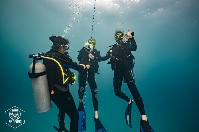Open Water Course Cozumel - Marine conservation shows up as more than a slogan