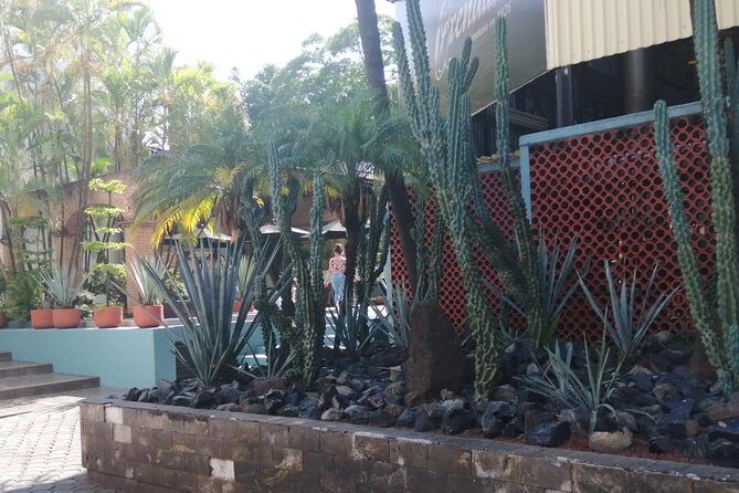 Orendain Classic Tour - Casa Orendain Classic Tour: what you actually experience in one hour