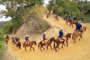 Outdoor Ziplining, Waterfalls & Speed boat in Puerto Vallarta - Zip line circuit: the roller-coaster and the 1,000-foot line