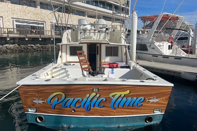 Pacifictime Sports Fishing in Cabos san lucas - Wildlife Bonus: Whales, Dolphins, and Sea Lions