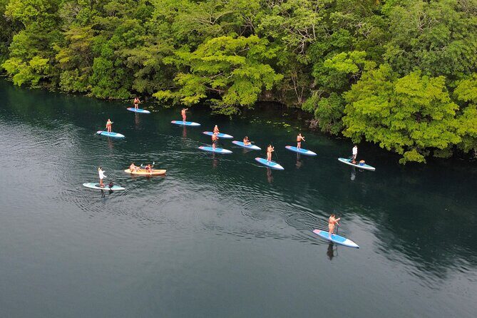 Paddle at Dawn with visit to Cenotes and Islands - Key highlights you’ll actually care about