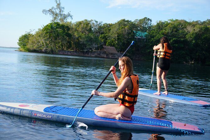 Paddle at Dawn with visit to Cenotes and Islands - Paddle Board vs. Kayak: Choose the Style That Matches Your Comfort