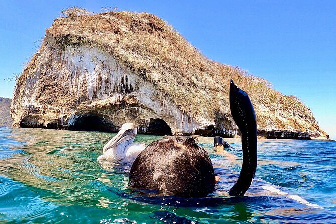 Paddleboard and Snorkeling Experience in Los Arcos - Entering Los Arcos Caves: Caves, Birds, and Fish on the Way In