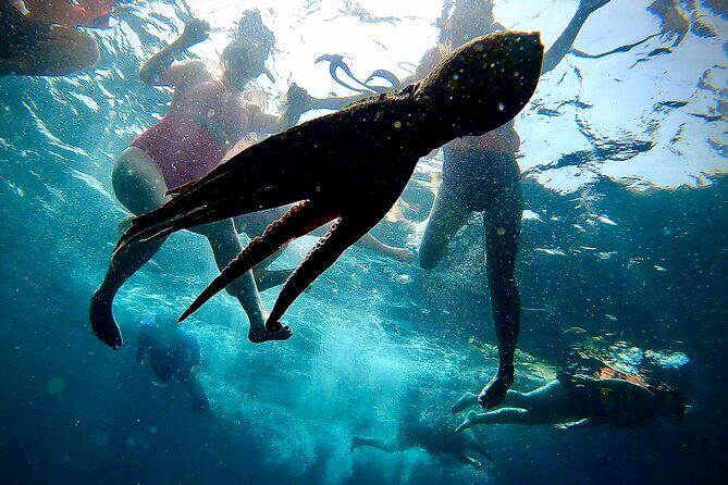 Paddleboard and Snorkeling Experience in Los Arcos - Who Should Book This Paddleboard + Snorkel in Los Arcos