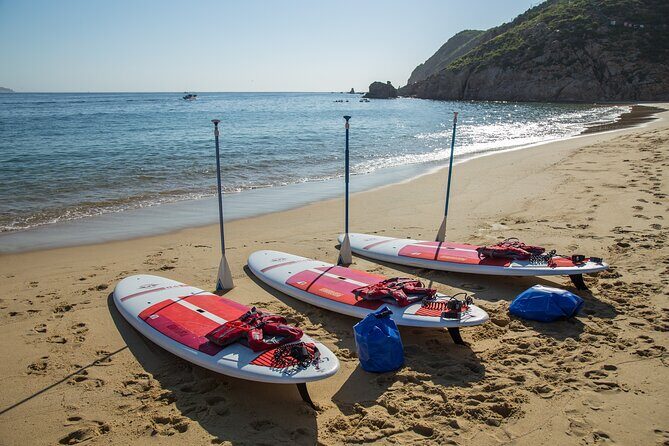 Paddleboard Expedition to the Arch of Cabo San Lucas, Lovers Beach & Snorkel - Pelican Rock snorkeling: reef time with gear provided