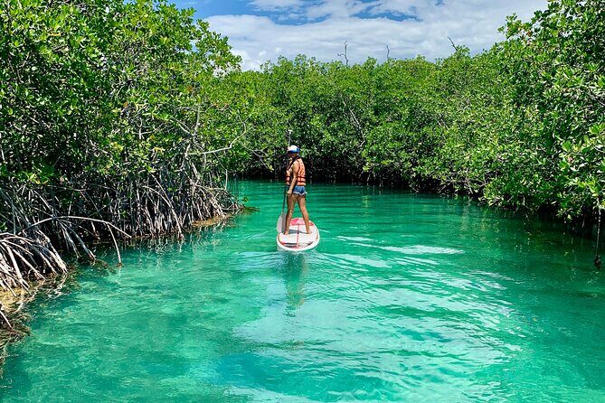 Paddleboard Kayak Tour in Cancun - Equipment, locker, and the free photos/videos you’ll actually use