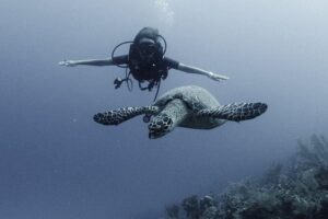PADI Discover Scuba Diving - Price and Value: What $100 Gets You in Costa Maya