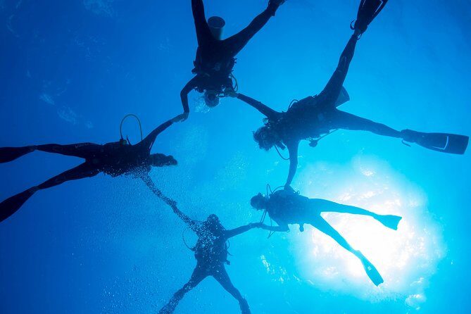 PADI Discover Scuba Diving - Gear, Water, and the Comfort Zone: Skills Before the Reef