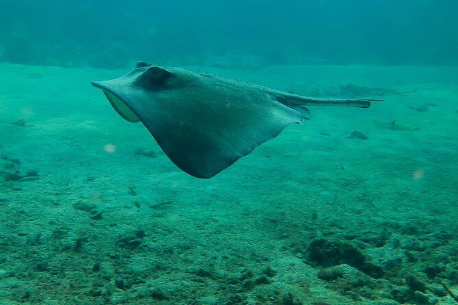 PADI Discover Scuba Diving - When You Might Need to Rethink This Experience