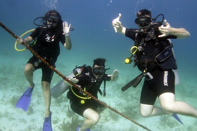 PADI Discover Scuba Diving for divers without certification - Two underwater stops: MUSA statues before Manchones Reef