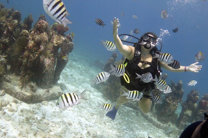 PADI Discover Scuba Diving for divers without certification - Who should book this, and who might be happier elsewhere