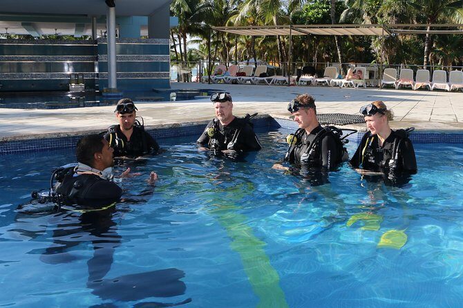 PADI Discover Scuba Diving in Playa del Carmen - Key highlights you’ll feel the moment you start