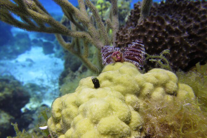 PADI Discover Scuba Diving Program in the Riviera Maya - Tips to Make Your Morning Go Smoothly