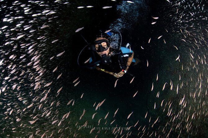 PADI Open Water Course in Cabo San Lucas - Key things to know before you go