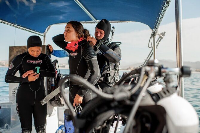 PADI Open Water Course in Cabo San Lucas - Cabo San Lucas: where your PADI Open Water Diver course feels like more than a classroom