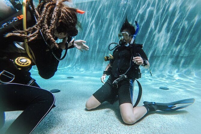PADI Open Water Course in Cabo San Lucas - The instructors: patience, clarity, and hands-on coaching