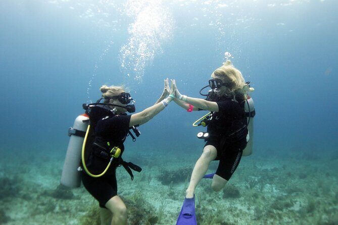 PADI Open Water Diver Course - Price and Logistics: What $560 Covers (and Why It’s Not Crazy)