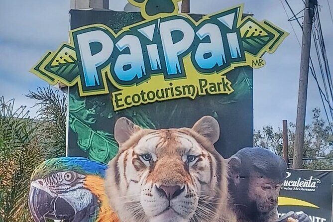 Pai Pai Animal Experience: Private Ride and Ticket Assistance - Port Pickup That Actually Reduces Stress