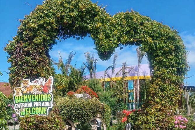Pai Pai Animal Experience: Private Ride and Ticket Assistance - The Return Ride: Tacos, Photos, and Small Detours