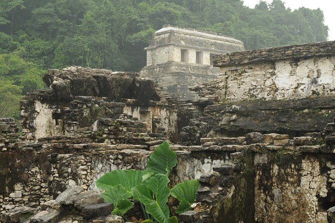 Palenque Mayan Ruins, Misol-Ha and Agua Azul Waterfalls Full Day Tour from Palenque - Misol-Ha Waterfall (35 Meters): Jungle Swim Time and a Real Cooling-Off Break