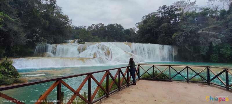 Palenque: Palenque Ruins, Agua Azul Waterfalls and Misol-Ha - Should you book this Palenque–Misol-Há–Agua Azul day trip?