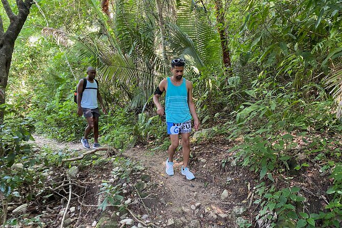 Palo María Waterfalls Hike Half-Day Tour - Safety, Footing, and Heights: What to Know Before You Commit
