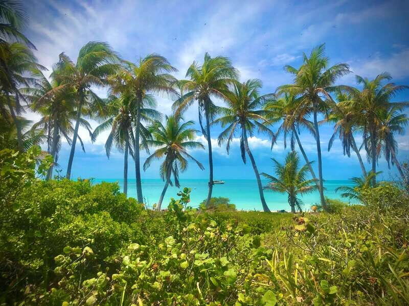 PARADISE ISLAND- ISLA CONTOY AND ISLA MUJERES - Isla Contoy: the protected reserve that sets the tone