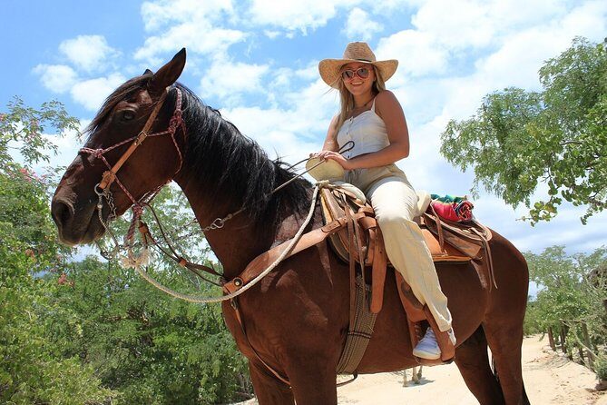 Park Pass at Wild Canyon One Place, Many Adventures - UTVs and ATVs: Off-Road Riding Through Baja Terrain