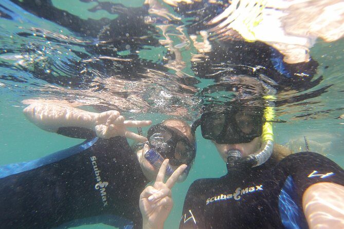 Pelican Rock Snorkeling and Sightseeing Adventure - Return to the Marina: Flea Market Time Before You Head Back