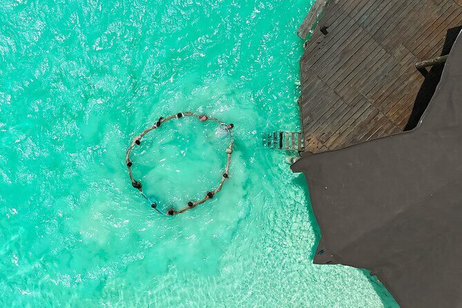 Photography and Filming with drone and camera - Pricing and value: $92.60 per group for 2 hours