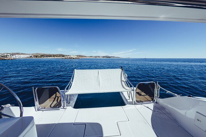 Platinum Snorkel Tour - Whale watching on this route: realistic expectations, good odds