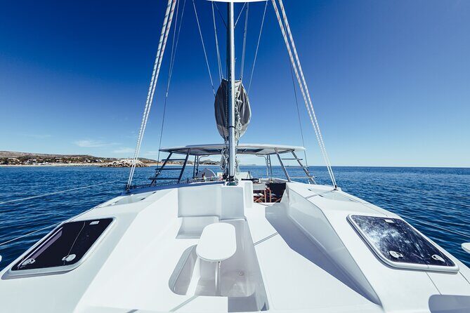 Platinum Snorkel Tour - Price and the dock fee: doing the math for value