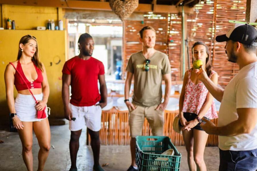 Playa del Carmen: 3-Hour Local Food Walking Tour - Who This Tour Fits Best (and Who Should Skip It)