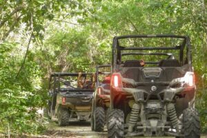 Playa del Carmen Buggy Tour with Cenote Swim and Mayan Village Visit - Jungle Tracks and Mud: The Off-Road Part That Makes This Tour