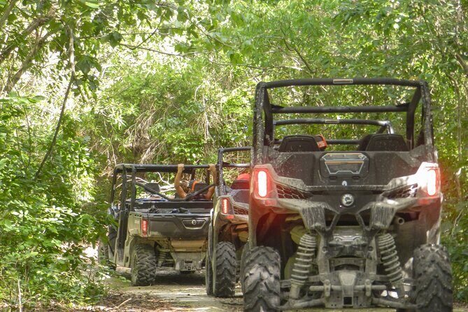 Playa del Carmen Buggy Tour with Cenote Swim and Mayan Village Visit - Jungle Tracks and Mud: The Off-Road Part That Makes This Tour