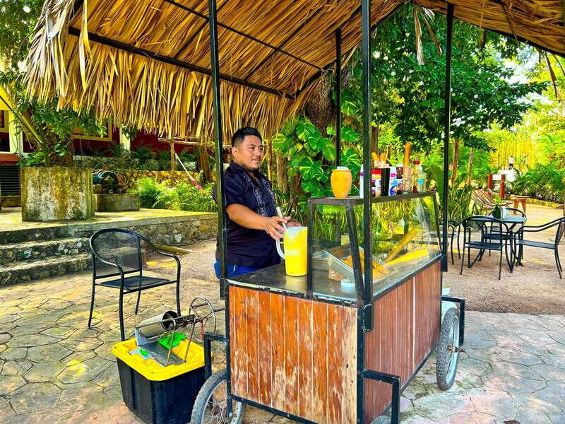 Playa del Carmen: Chichen Itza, Valladolid, Cenote & Buffet - Chichikán Cenote: swim options, buffet lunch, and how to make the most of 2.5 hours