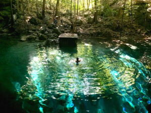 Playa del Carmen: Riviera Maya Buggy Tour with Cenote Swim - The 4WD Jungle Drive: 29 Km of Dirt, Mud, and Fresh Air