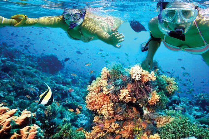 Plus Experience Isla Mujeres Tour - Arrecife de Coral Snorkeling: Short Time, Big Reef Payoff