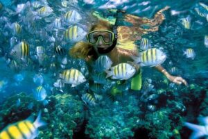 Plus Full Day Catamaran Tour to Isla Mujeres All Inclusive - Food and drinks: what’s included, and what to plan for