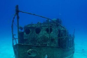 Power Snorkel by Sea Scooter & Flavored Tequila tasting - Wreck vs. reef: how your snorkeling spot may change
