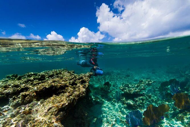 Power Snorkel By Sea Scooters & Tequila Tasting - Cozumel power snorkel scooters: what changes for you