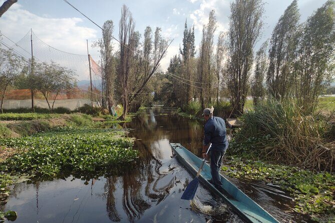 Pre-Hispanic Xochimilco, local food included and ajolotario. - The San Bernardino de Siena cathedral stop: early 1500s faith in Xochimilco