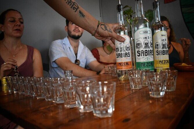 Premium Artisanal Tequila Tasting at El Tasting Room - Price and Logistics: Is $59 a Good Deal for a Puerto Vallarta Tequila Masterclass?