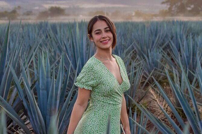 Premium Private Tequila Tour - The town stop: 30 minutes for crafts in Tequila